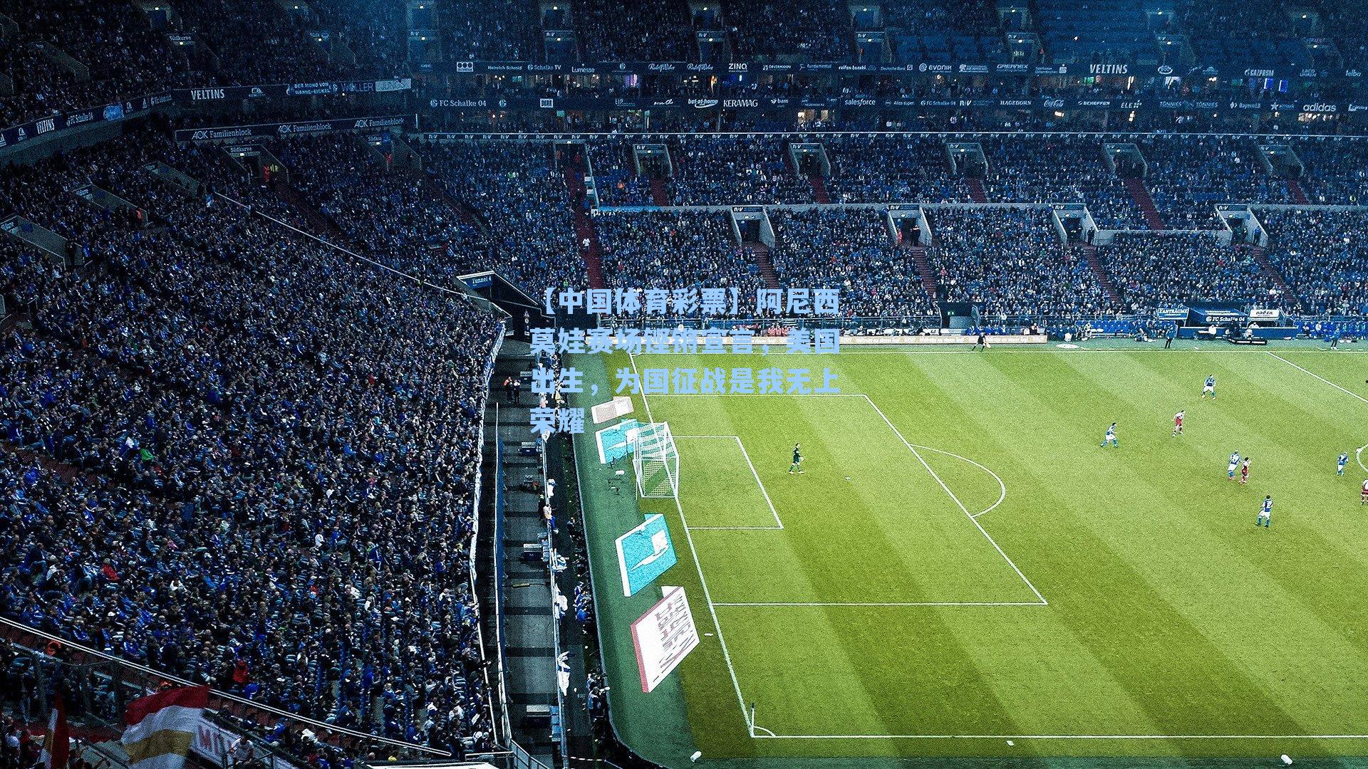 阿尼西莫娃赛场铿锵宣言，美国出生，为国征战是我无上荣耀